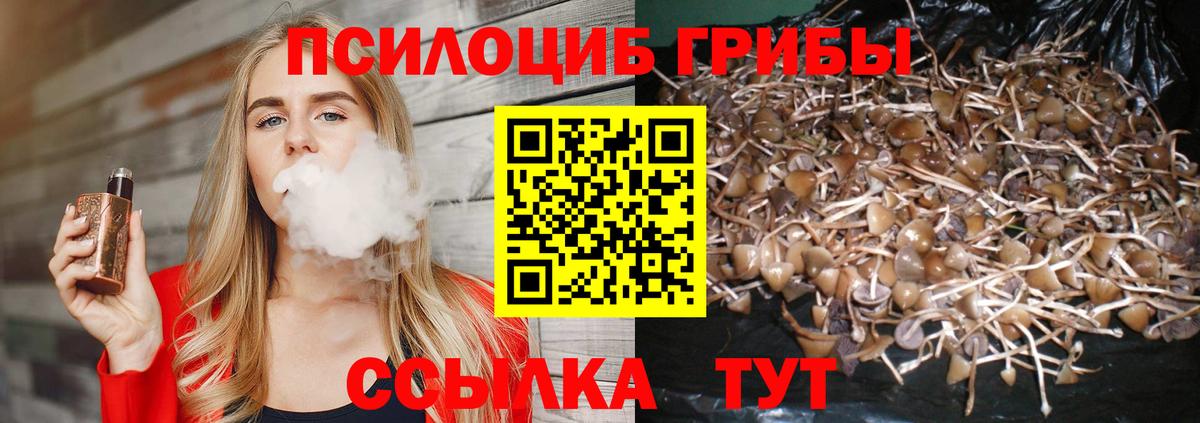 Псилоцибиновые грибы мицелий  Вход с VPN  Новый Уренгой 